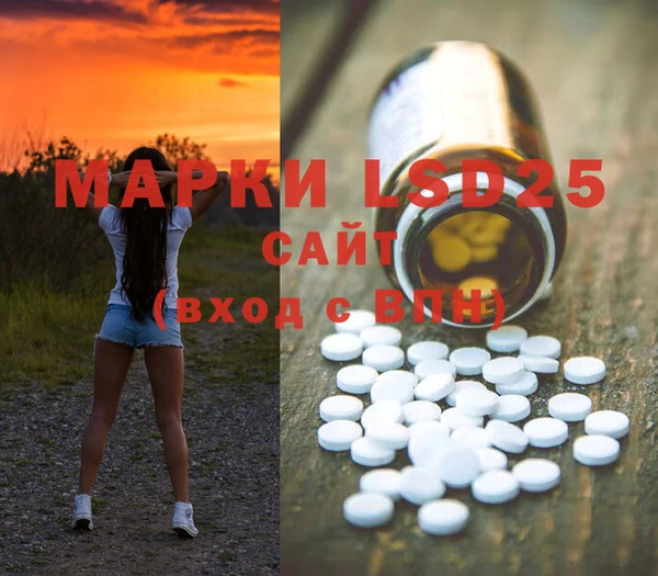 стафф Вязьма