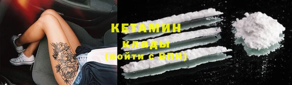 стафф Вязьма