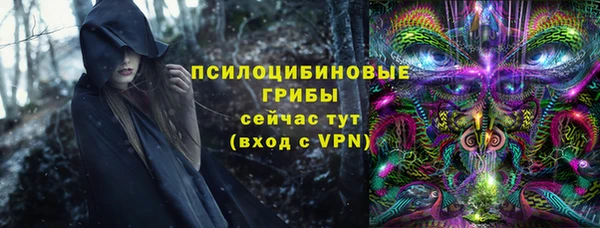 стафф Вязьма