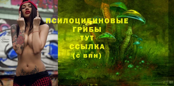 стафф Вязьма