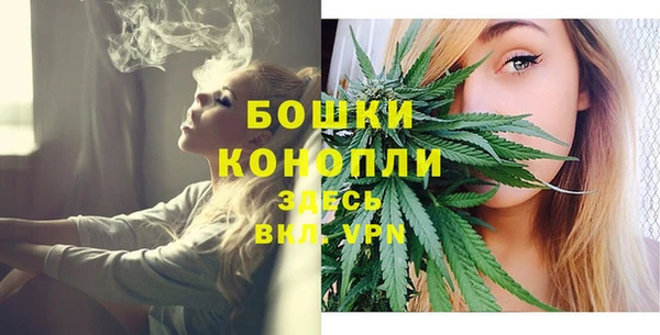 гашик Вязники