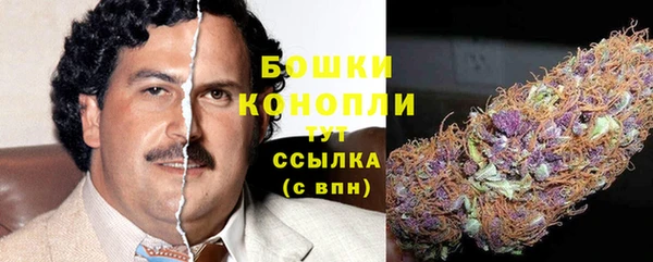 стафф Вязьма