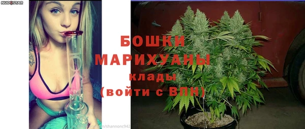 гашик Вязники