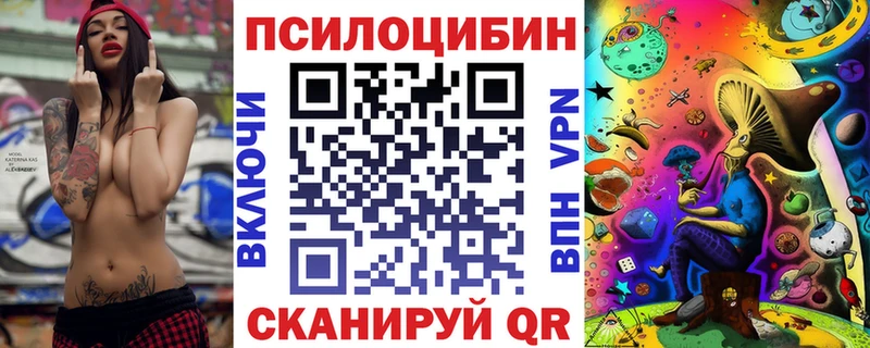Галлюциногенные грибы Psilocybine cubensis  Купить где  Белая Холуница 
